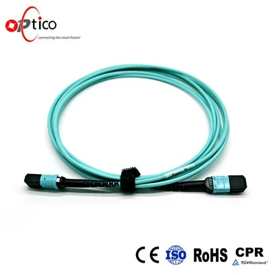 12F OM3 MTP ট্রাঙ্ক কেবল